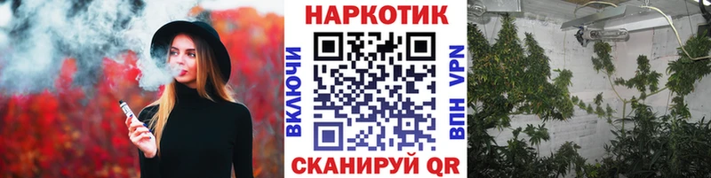 APVP Ростов