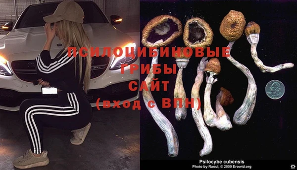 синтетический гашиш Ельня