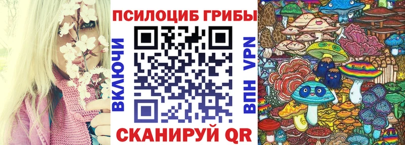 Купить закладки  Ростов  Псилоцибиновые грибы Magic Shrooms 